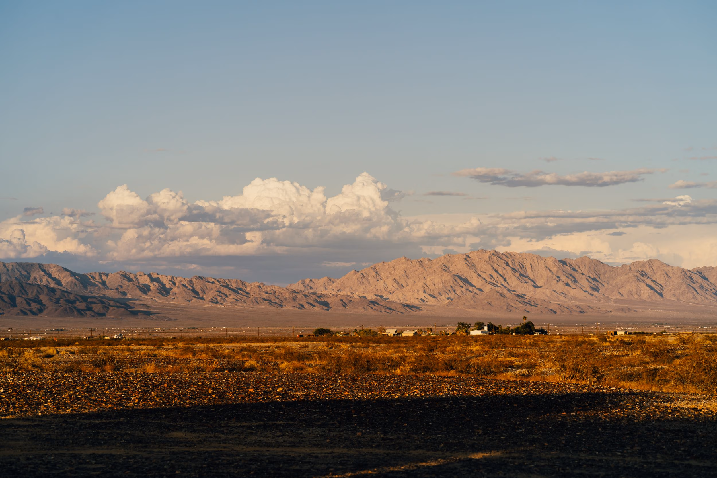 Wide desert landscape with scrubby plants, a mountain range, and large clouds in the sky at sunset.